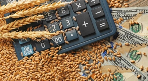 Glutenfree Certification Cost