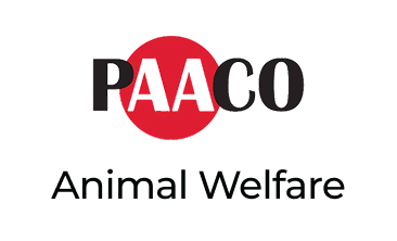 Paaco